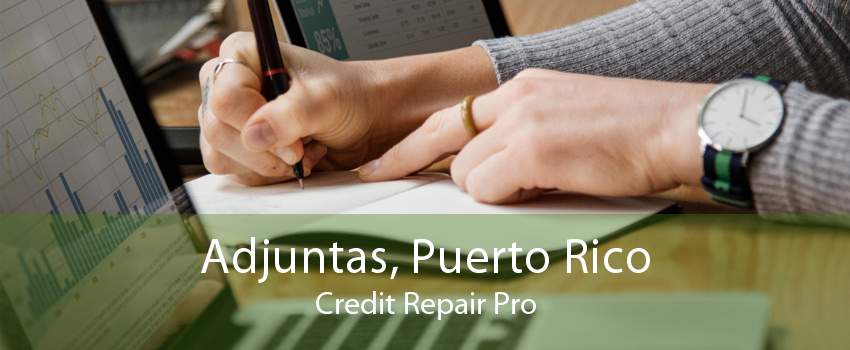 Adjuntas, Puerto Rico Credit Repair Pro