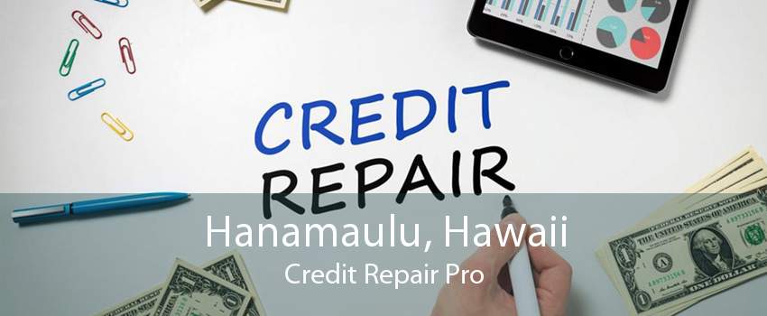 Hanamaulu, Hawaii Credit Repair Pro