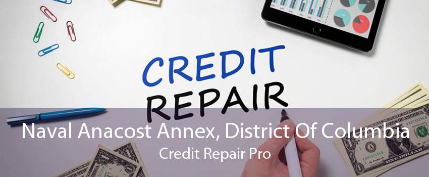 Naval Anacost Annex, District Of Columbia Credit Repair Pro